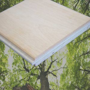 Warum Arrow Wood wählen?