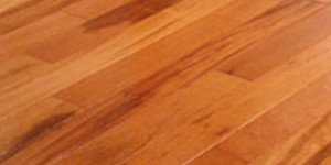 Goncalo Holz - GONCALO WOOD