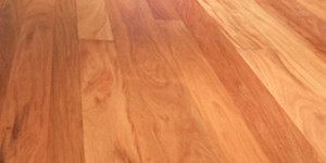 Teakholz Teak Wood